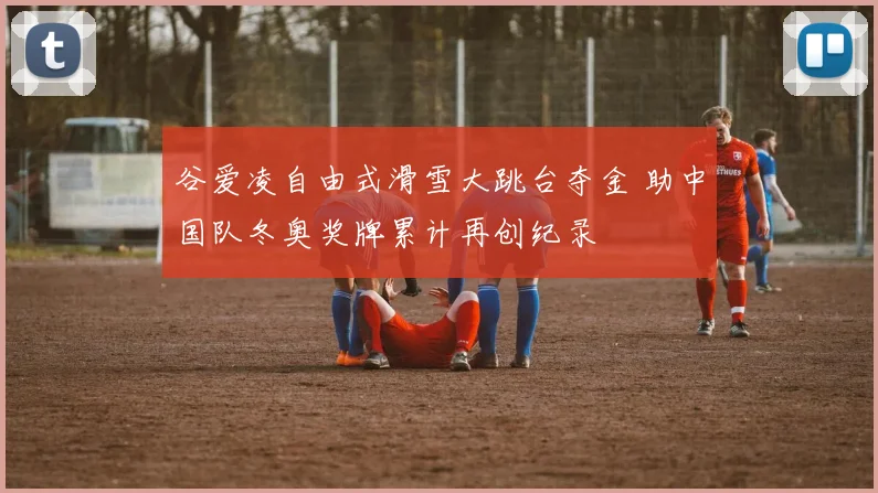 谷爱凌自由式滑雪大跳台夺金 助中国队冬奥奖牌累计再创纪录