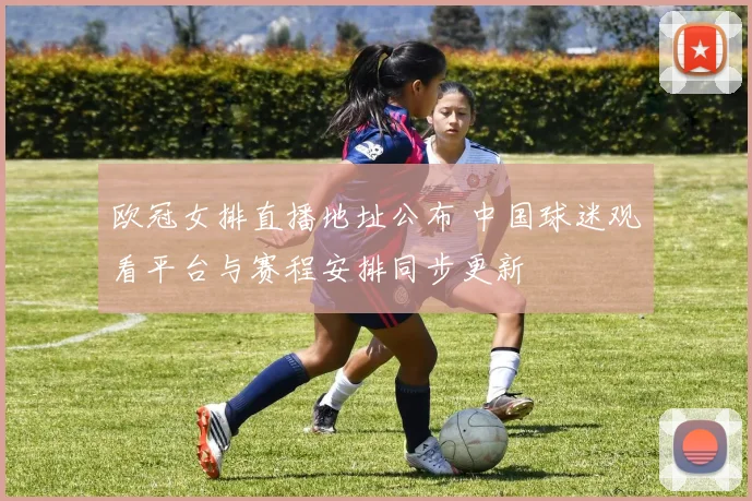 欧冠女排直播地址公布 中国球迷观看平台与赛程安排同步更新