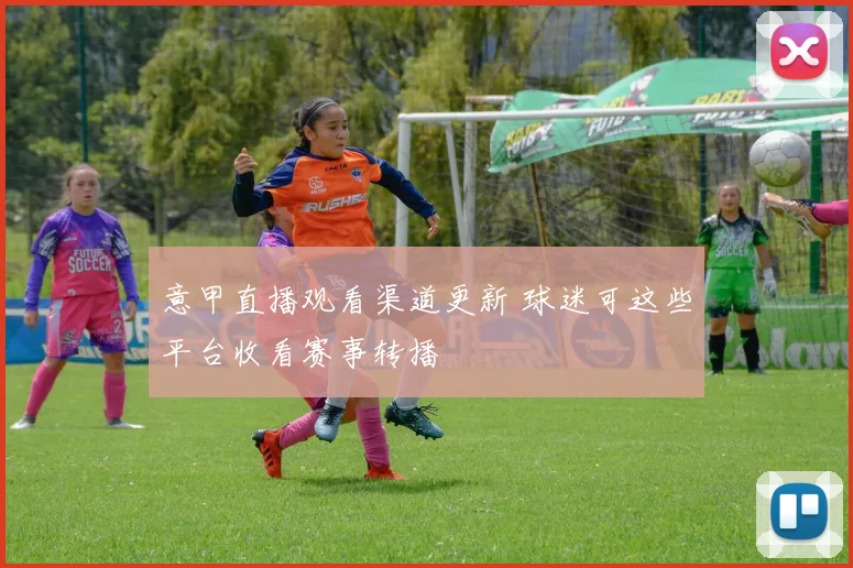 意甲直播观看渠道更新 球迷可这些平台收看赛事转播
